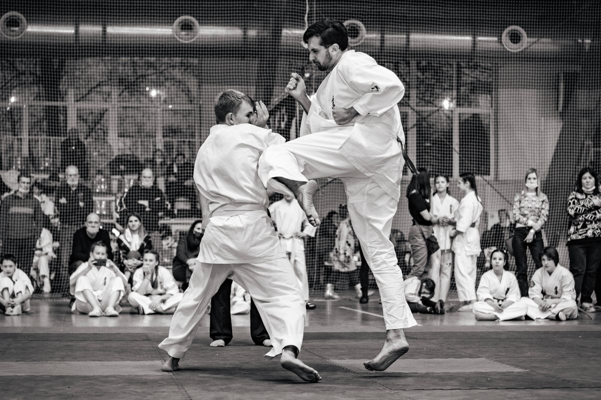 Judo vétérans : 169 médailles à Portimão, la France signe un record historique aux championnats d'Europe